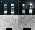 Water-Soluble Tetrazolium-8 Water-Soluble Tetrazolium-8