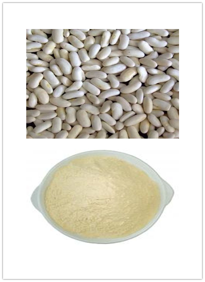 White Kidney Bean Extract White Kidney Bean Extract