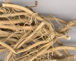 Willowleaf Swallowwort Rhizome Extract Willowleaf Swallowwort Rhizome Extract