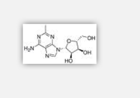 2-Methyladenosine 2-Methyladenosine