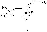 Endo-9-methyl-9-azabicyclo [3.3.1] nonan-3-amine