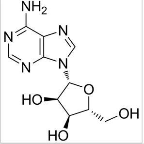 Adenine nucleotides Adenine nucleotides