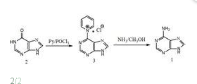 Adenine Adenine