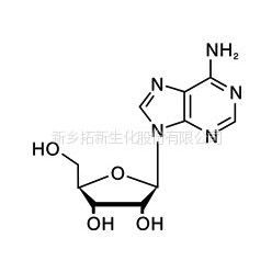 Adenosine Adenosine