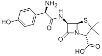 Amoxicillin Amoxicillin