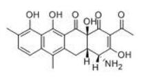 Chelocardin