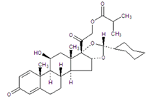 Ciclesonide Ciclesonide