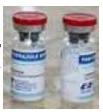 Ciprofloxacin Lactate Soluble Powder