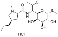 Clindamycin HCl Clindamycin HCl