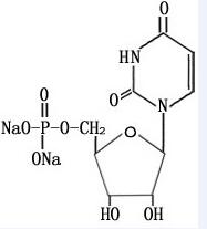 Disodium uridine-5'-monophosphate Disodium uridine-5'-monophosphate