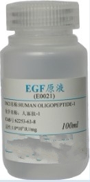 EGF extract EGF extract