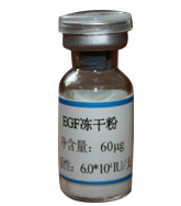 EGF freeze-dried powder EGF freeze-dried powder