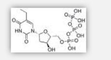 Ethyl Deoxyuridine Ethyl Deoxyuridine