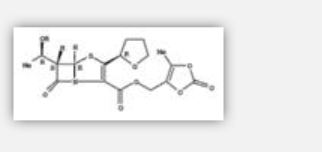 Faropenem Medoxomil Faropenem Medoxomil
