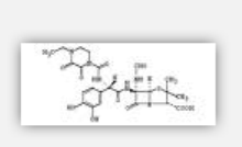 Fomidacillin Fomidacillin
