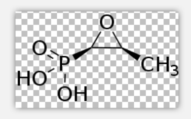 Fosfomycin Fosfomycin