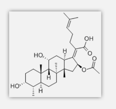 Fusidine Fusidine