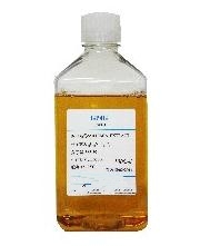 GP4G(E0013) GP4G(E0013)