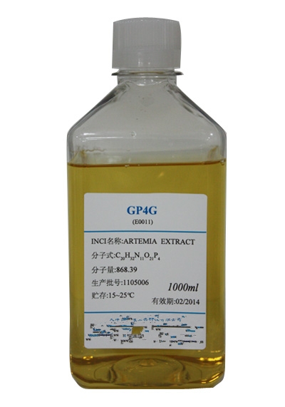 GP4G GP4G