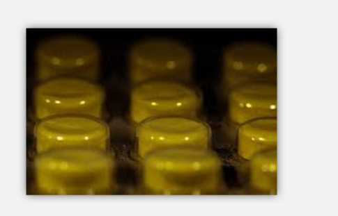 Geese Blood Tablet Geese Blood Tablet