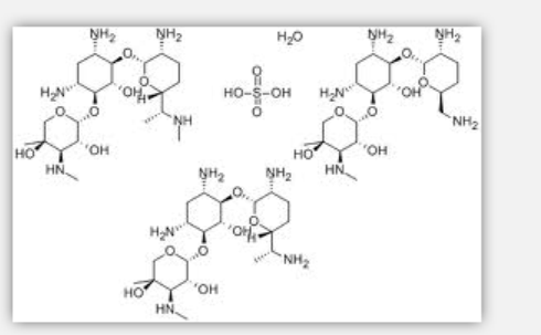 Gentamicin Sulphate