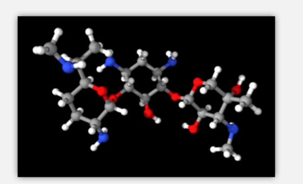 Gentamicin Gentamicin