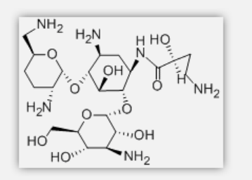 HABA-Deoxykanamycin B HABA-Deoxykanamycin B