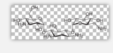 Kanamycin Kanamycin