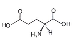 L-Glutamic Acid L-Glutamic Acid