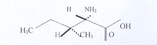 L-Isolecuine L-Isolecuine
