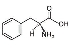 L-Phenylalanine L-Phenylalanine