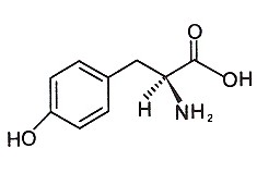 L-Tyrosine L-Tyrosine