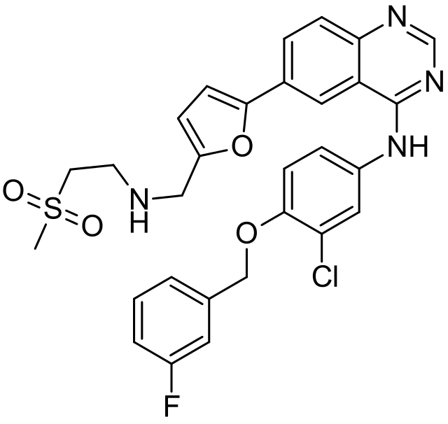 Lapatinib Lapatinib