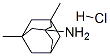 Memantine Hydrochloride Memantine Hydrochloride
