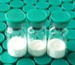 Mequindox Mequindox