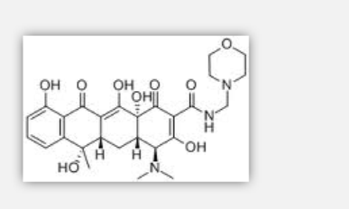Morphocycline Morphocycline
