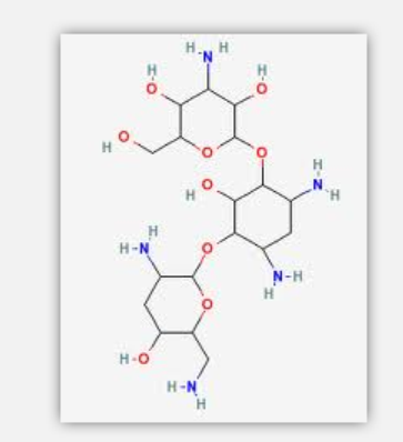 Nebramcyin Nebramcyin