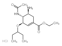 Oseltamivir Hydrochloride Oseltamivir Hydrochloride