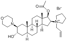 Rocuronium Bromide Rocuronium Bromide
