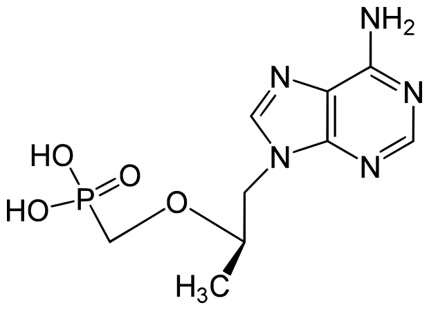 Tenofovir Disoproxil fumarate Tenofovir Disoproxil fumarate