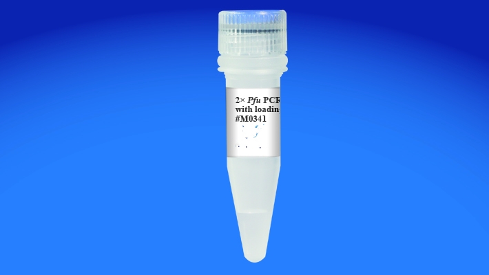 Thermostable dUTPase Thermostable dUTPase