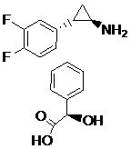 Ticagrelor IntermediateⅡ Ticagrelor IntermediateⅡ