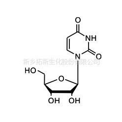 Uridine Uridine