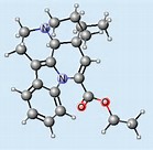 Vinpocetine Vinpocetine
