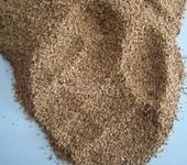 Walnut grain Walnut grain