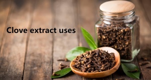 Clove extract uses​