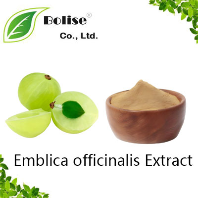 Emblica officinalis Extract
