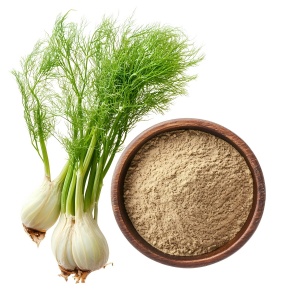 Fennel extract uses
