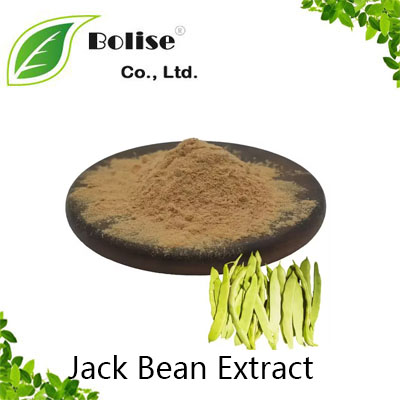 Jack Bean Extract Jack Bean Extract