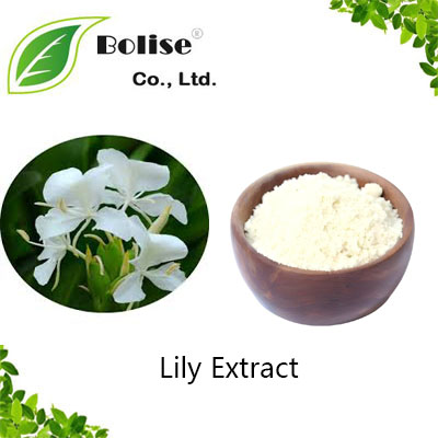 Lily Extract Lily Extract